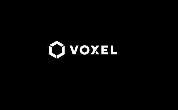 Voxel to head ASSP Safety 2026 panel on AI integration