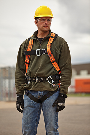 3M: All-purpose Economy Harness