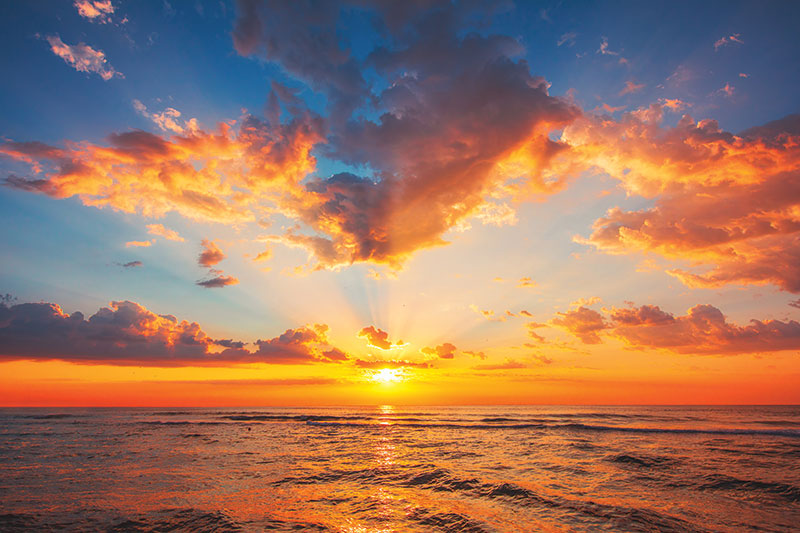 A new day for warehouse & distribution